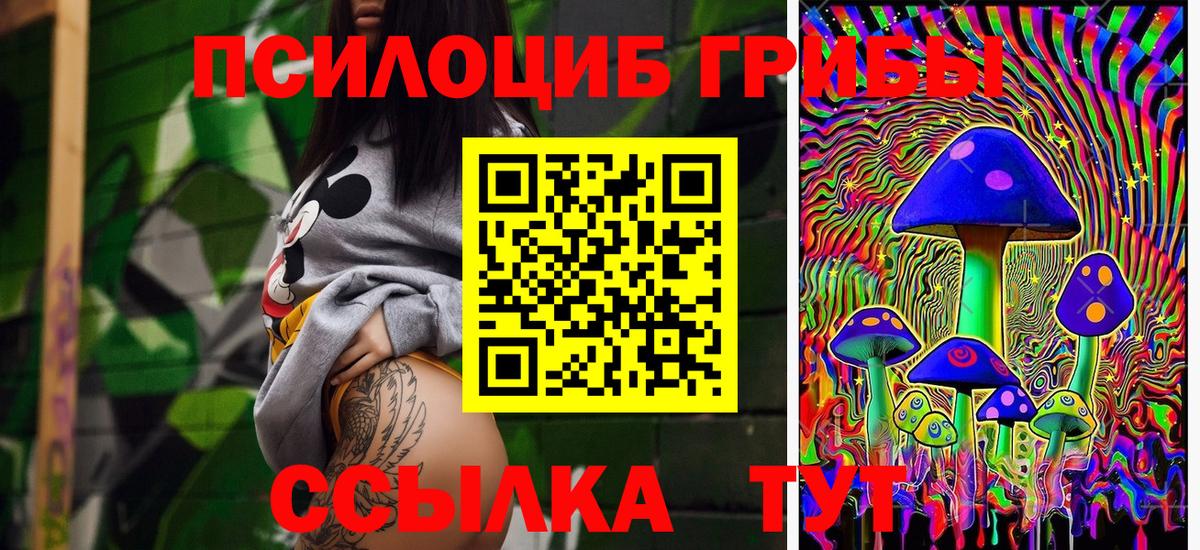 Сокол  Псилоцибиновые грибы Psilocybine cubensis  Вход с VPN 