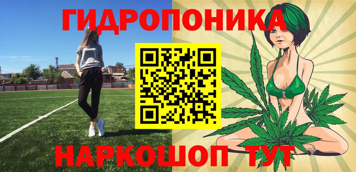 Марихуана гибрид  Вход с VPN  Сокол  Каннабис сатива  Шишки марихуана конопля 
